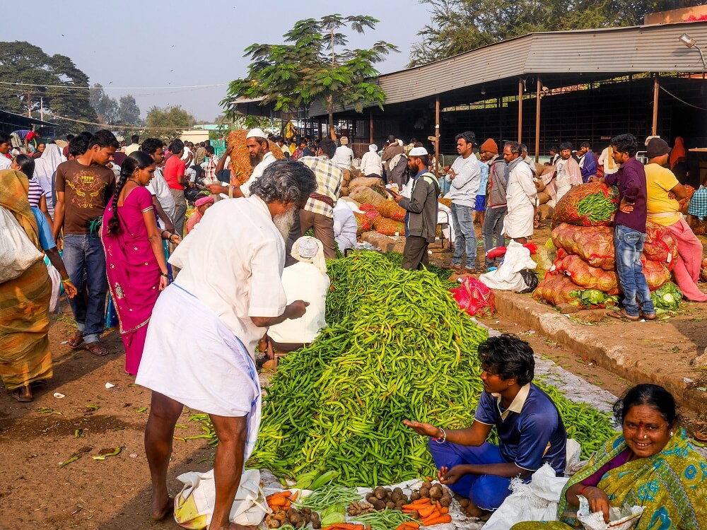 【インド】探検プログラム