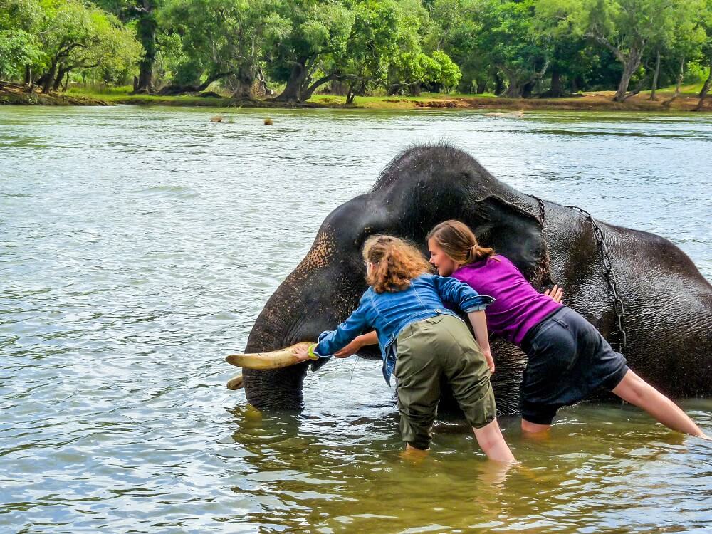 【インド】探検プログラム