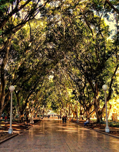 【スリランカ – アンバランゴダ】ウミガメ保護プログラム