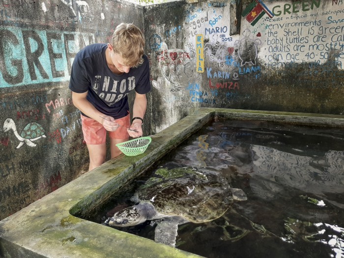 【スリランカ – アンバランゴダ】ウミガメ保護プログラム