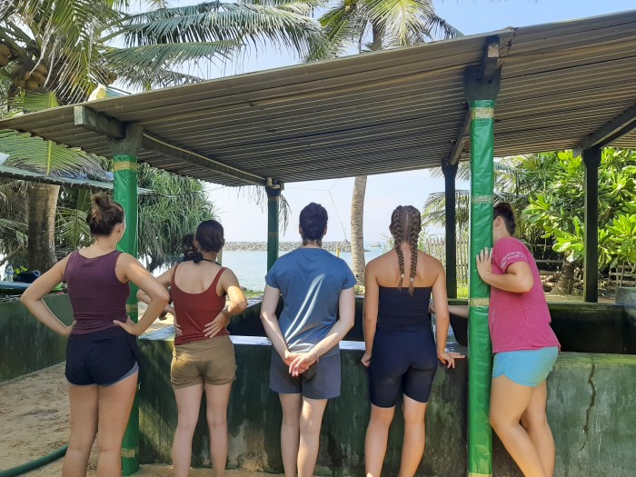 【スリランカ – アンバランゴダ】ウミガメ保護プログラム