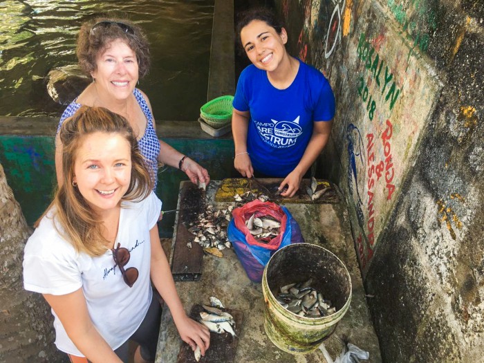 【スリランカ – アンバランゴダ】ウミガメ保護プログラム