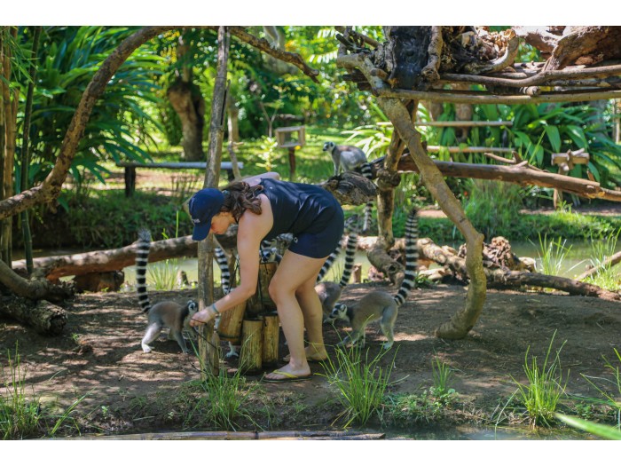 【マダガスカル】キツネザル保護プログラム