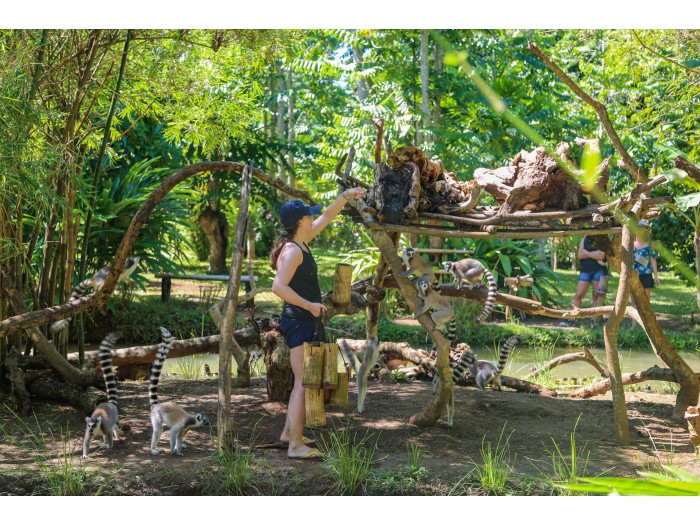 【マダガスカル】キツネザル保護プログラム