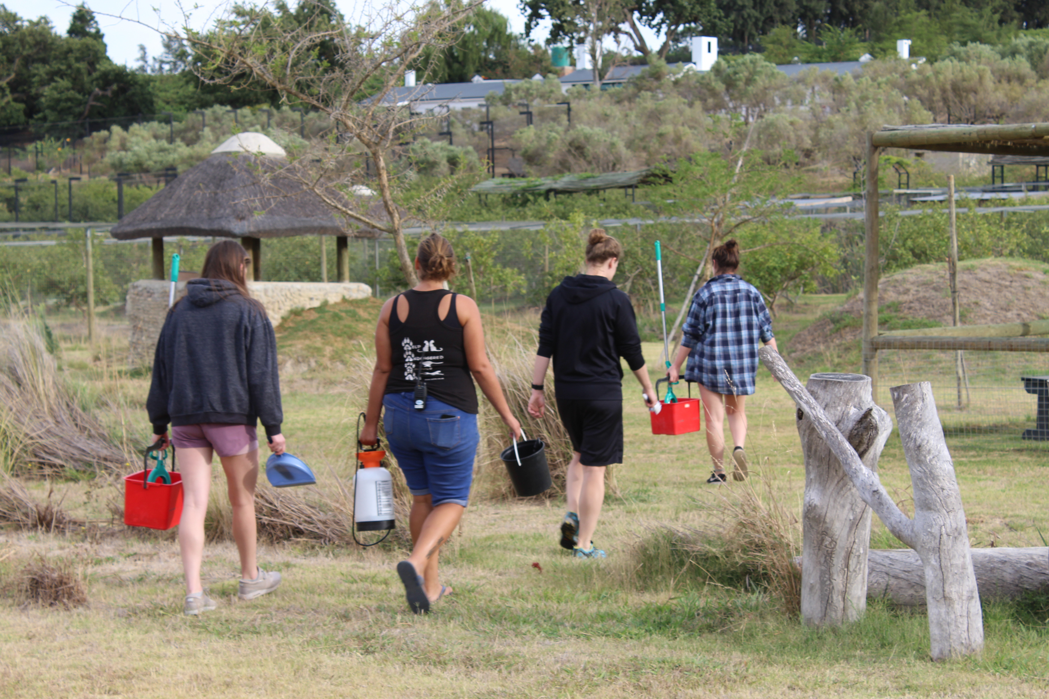 【南アフリカ共和国】チーター保護プログラム