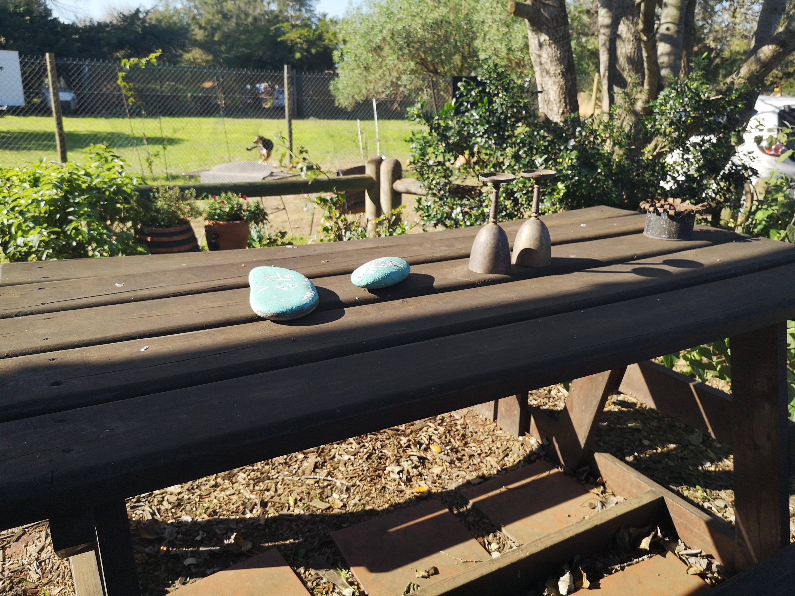 【南アフリカ共和国】小学校で教育プログラム