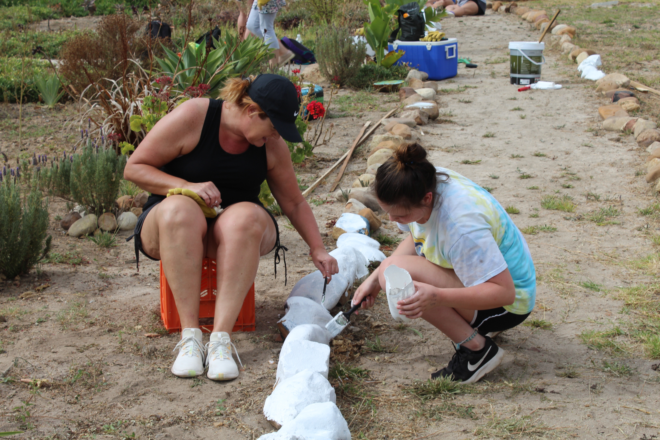 【南アフリカ共和国】チーター保護プログラム