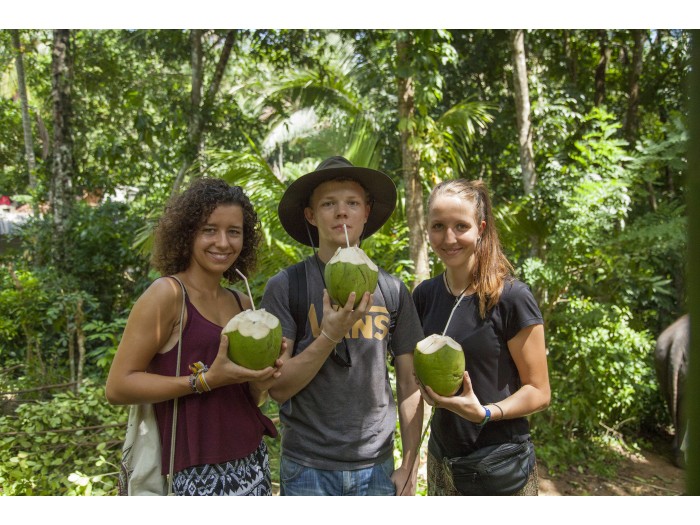 【スリランカ – マワネラ】アジアゾウ保護プログラム