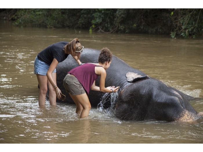 【スリランカ – マワネラ】アジアゾウ保護プログラム