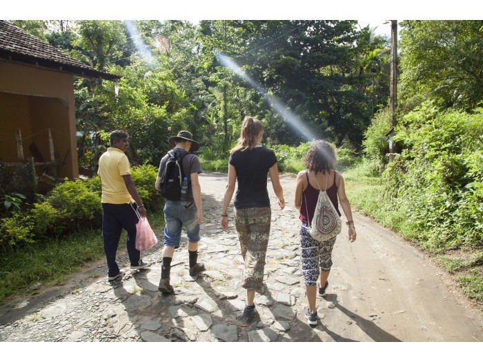 【スリランカ – マワネラ】アジアゾウ保護プログラム