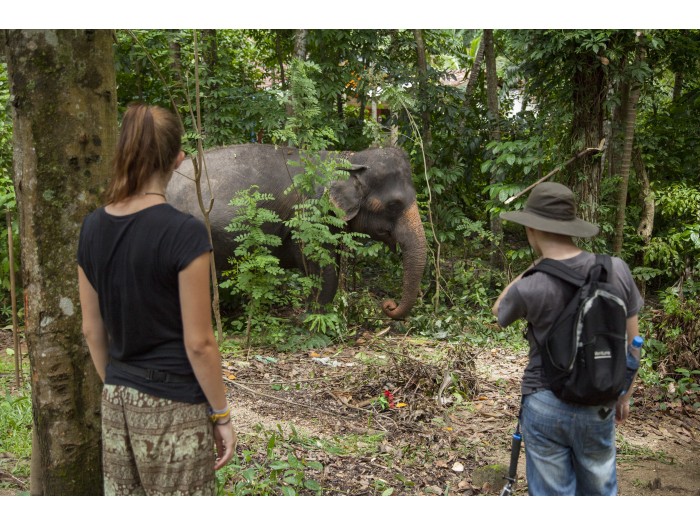 【スリランカ – マワネラ】アジアゾウ保護プログラム