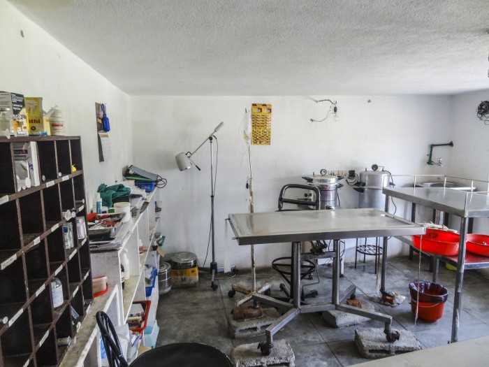 【ネパール – カトマンズ】野犬保護プログラム