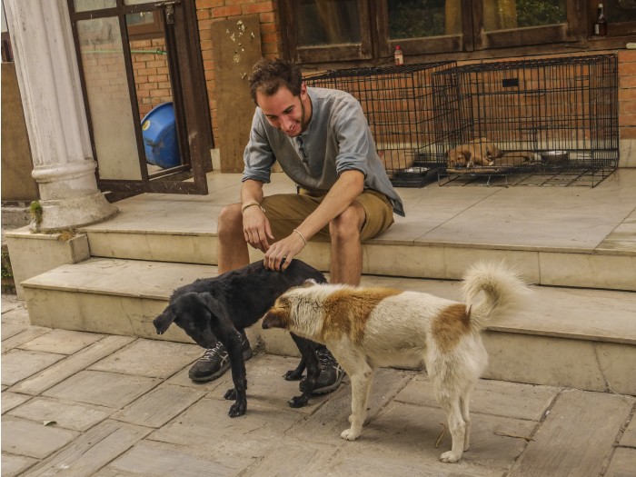 【ネパール – カトマンズ】野犬保護プログラム
