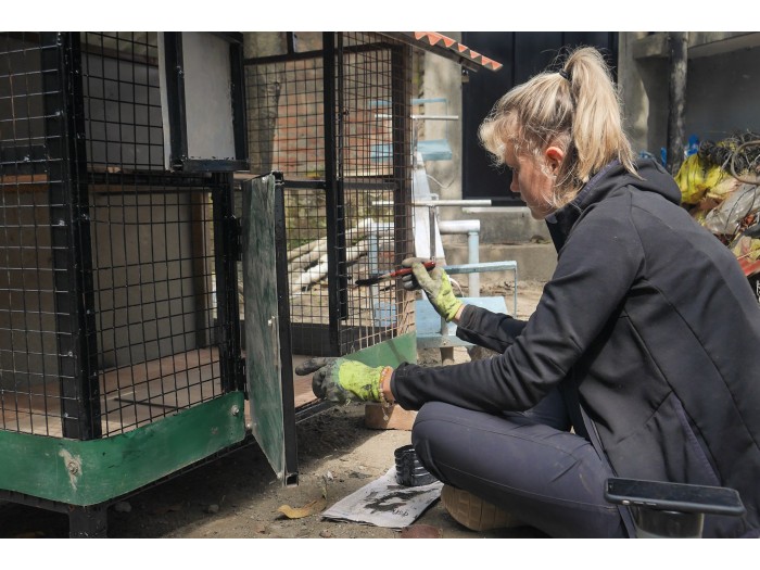 【ネパール – カトマンズ】野犬保護プログラム