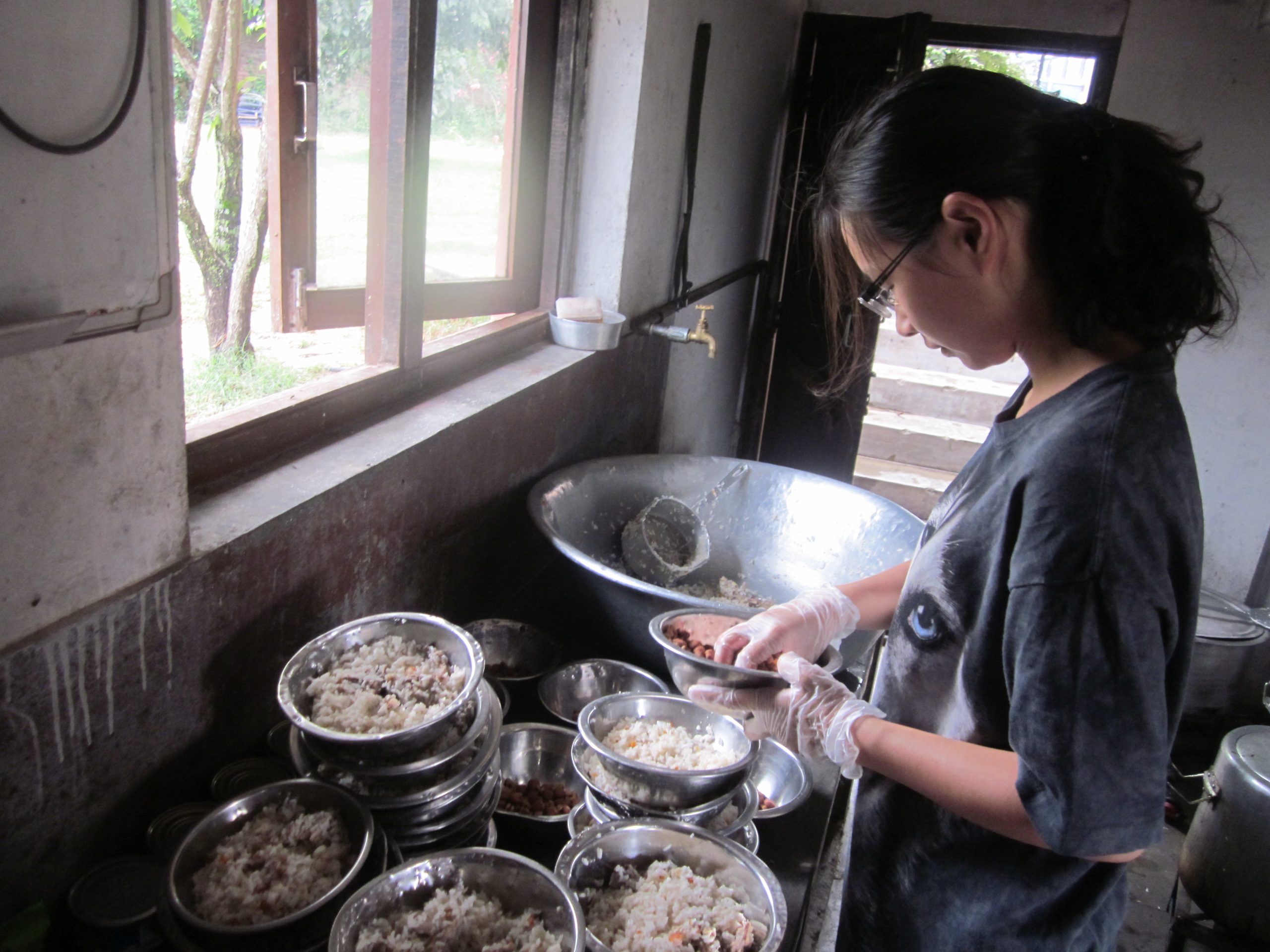 【ネパール – カトマンズ】野犬保護プログラムスケジュール画像