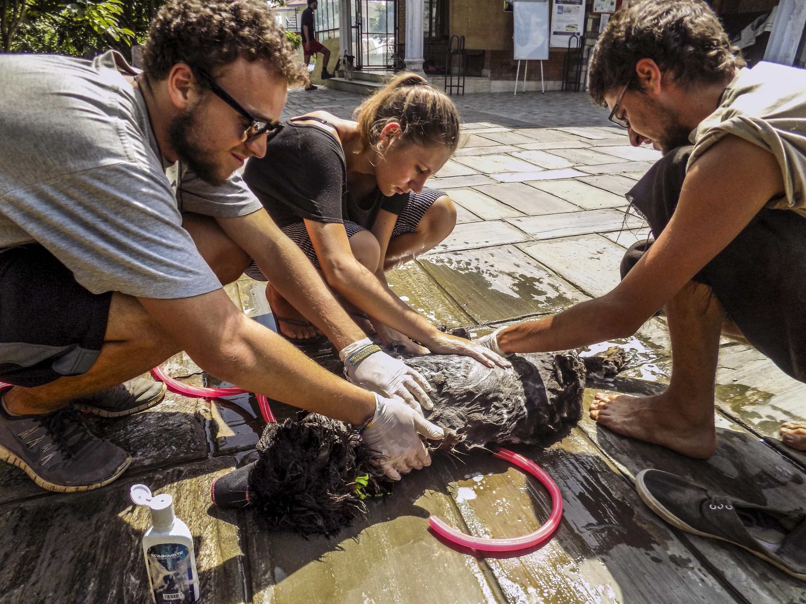 【ネパール – カトマンズ】野犬保護プログラム業務内容画像