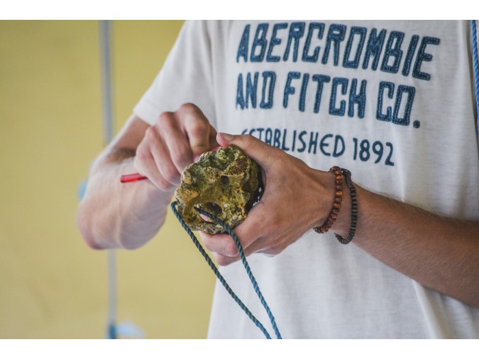 【インドネシア】ウミガメ保護 プログラム