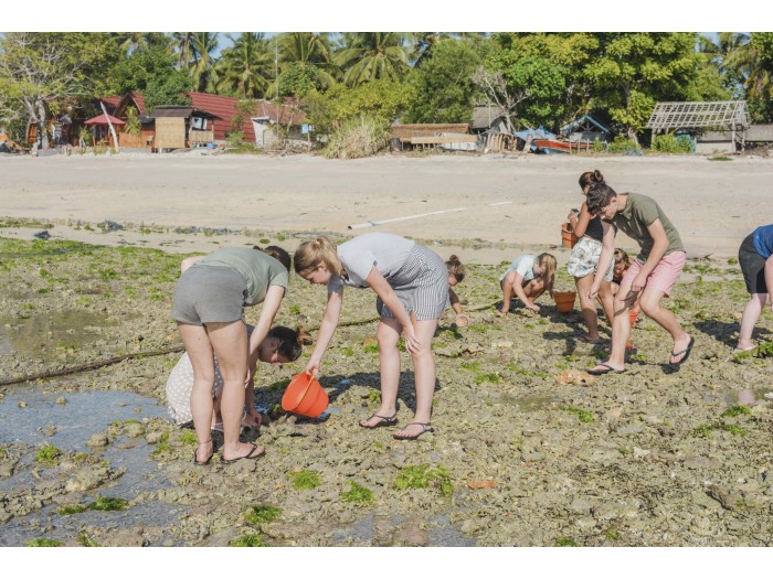 【インドネシア】ウミガメ保護 プログラム