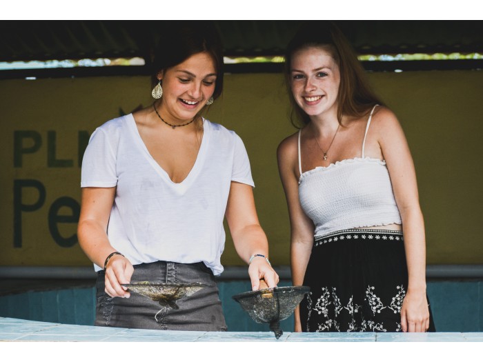 【インドネシア】ウミガメ保護 プログラム