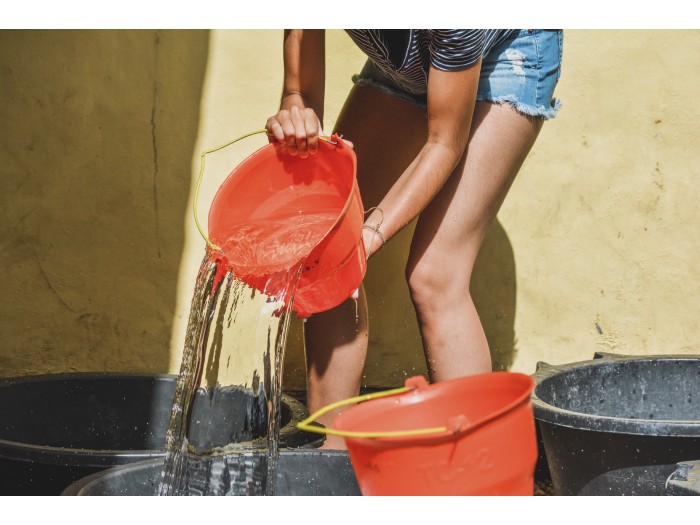 【インドネシア】ウミガメ保護 プログラム