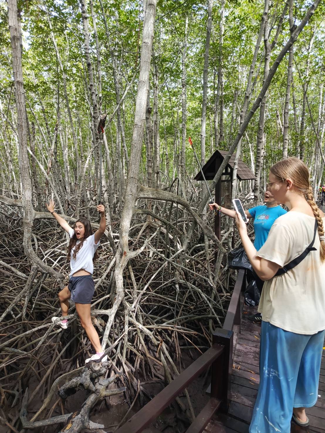 【タイ-ホアヒン】環境保護プログラム業務内容画像