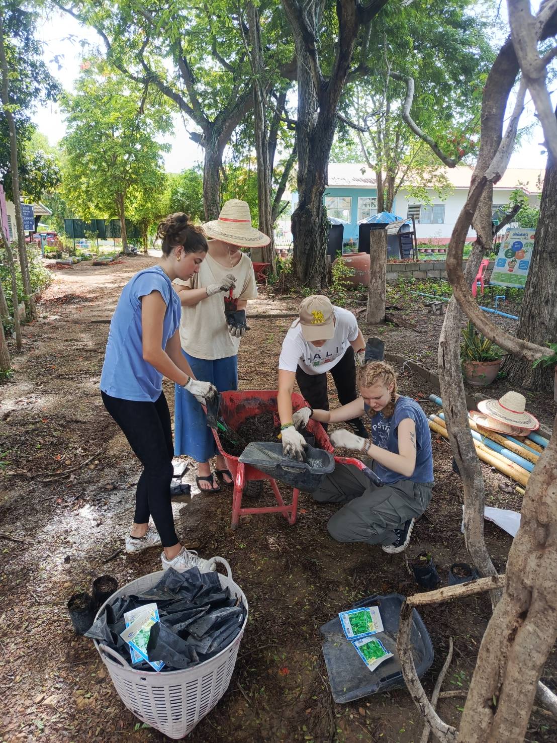 【タイ-ホアヒン】環境保護プログラム業務内容画像