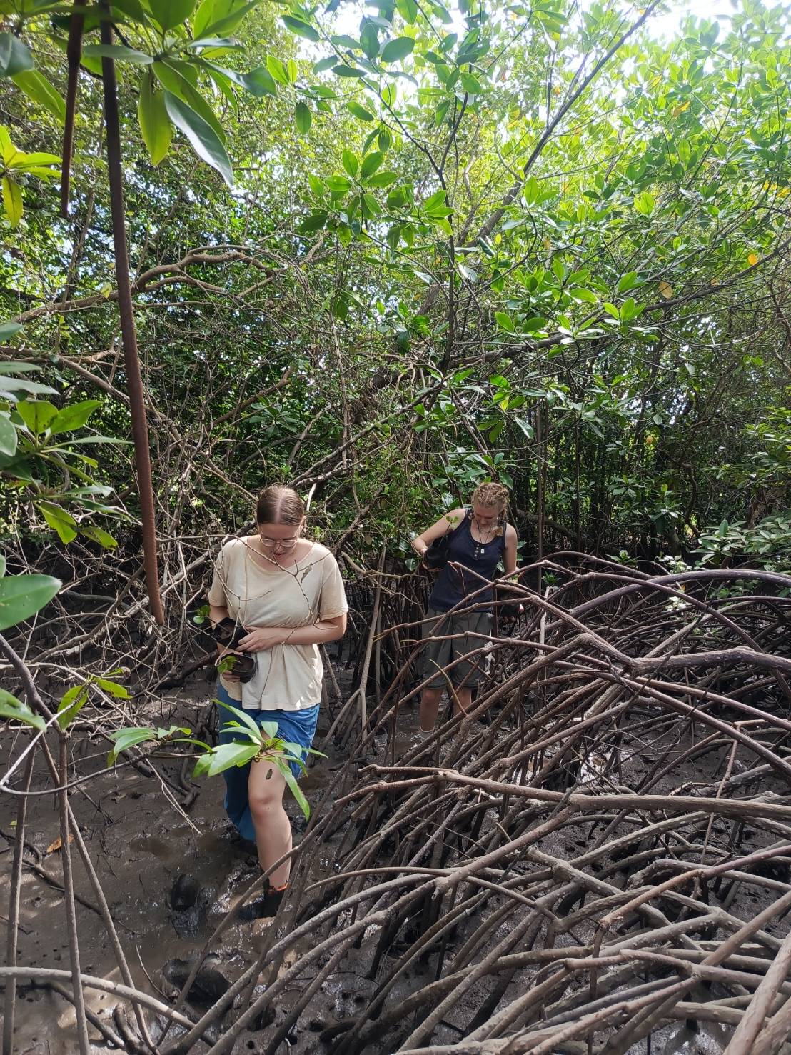 【タイ-ホアヒン】環境保護プログラム業務内容画像