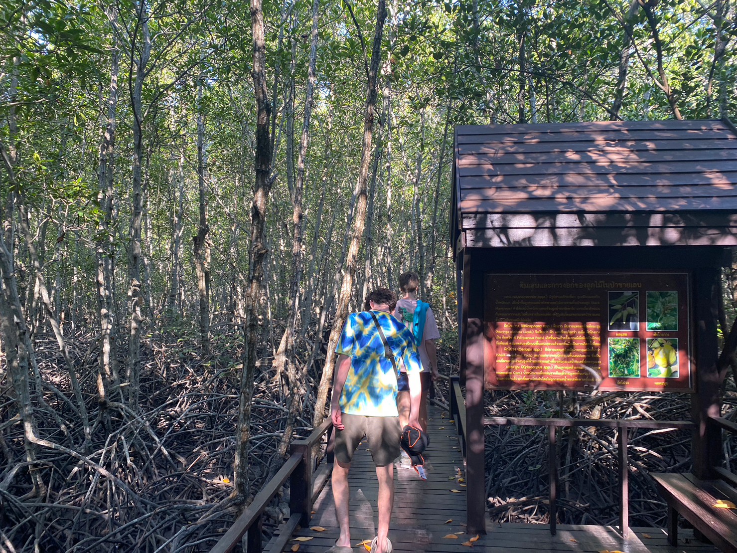 【タイ-ホアヒン】環境保護プログラム