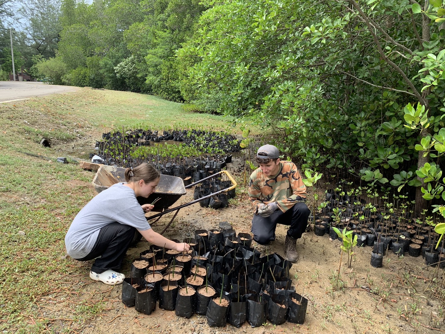 【タイ-ホアヒン】環境保護プログラムスケジュール画像