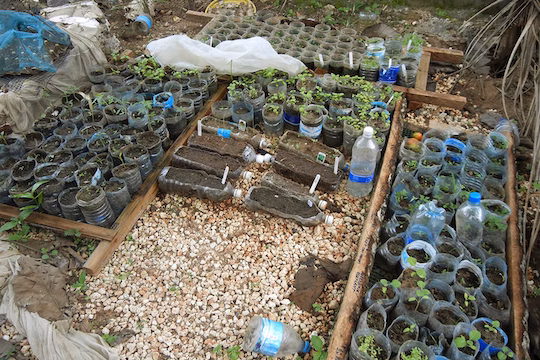 【タンザニア】熱帯雨林と沿岸保護ボランティア