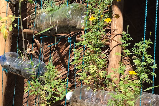 【タンザニア】熱帯雨林と沿岸保護ボランティア