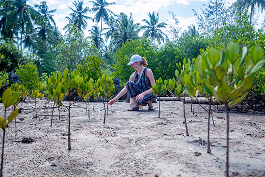 【タンザニア】熱帯雨林と沿岸保護ボランティア
