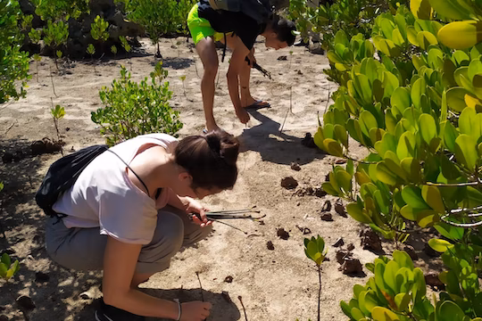 【タンザニア】熱帯雨林と沿岸保護ボランティア