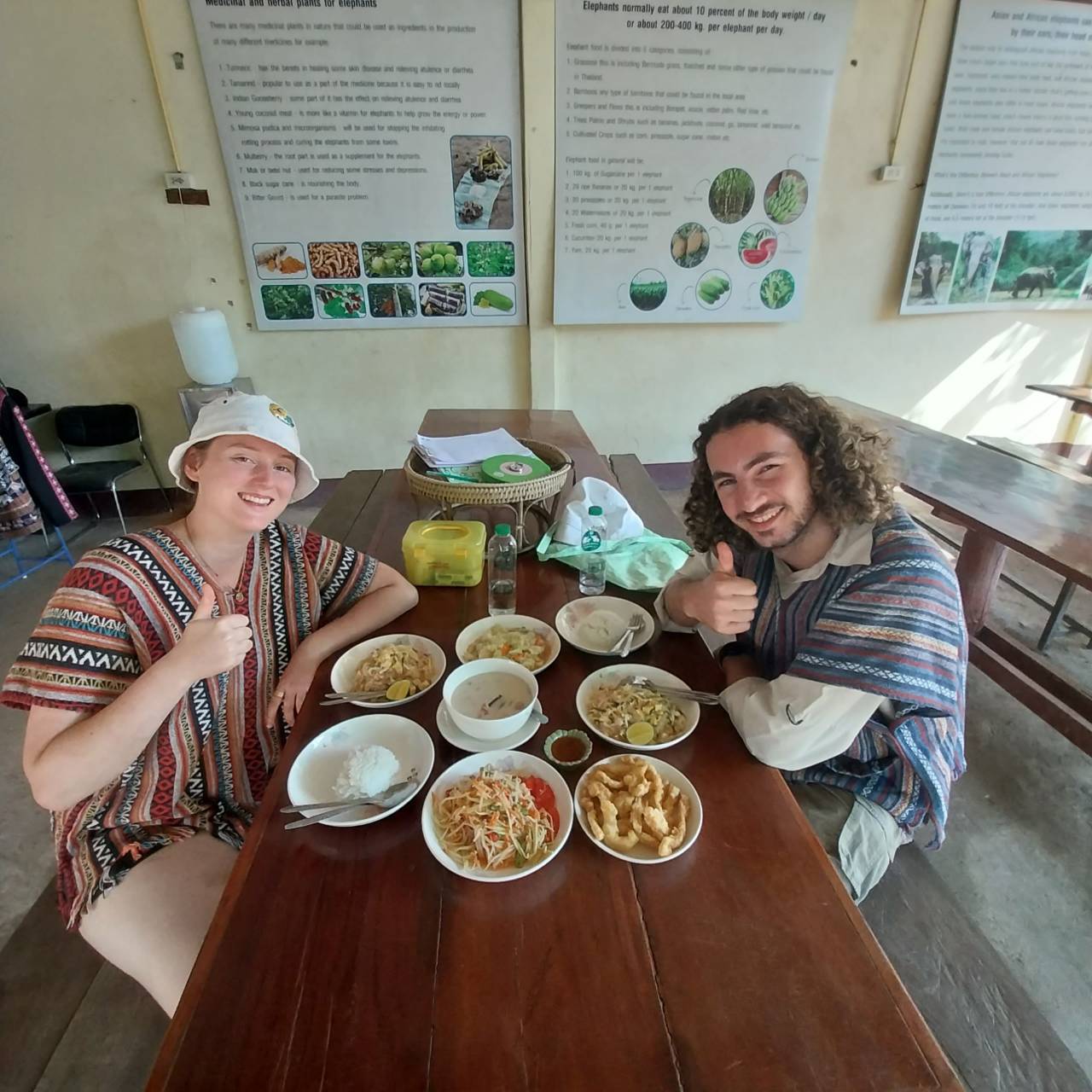 【タイ-チェンマイ】アジア象体験プログラムスケジュール画像