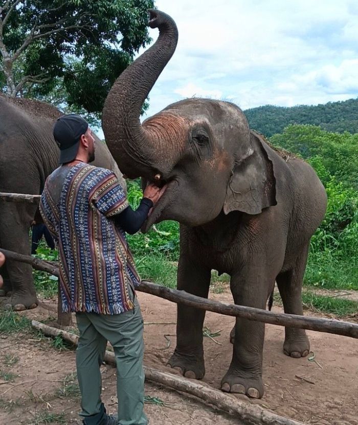 【タイ-チェンマイ】アジア象体験プログラム業務内容画像