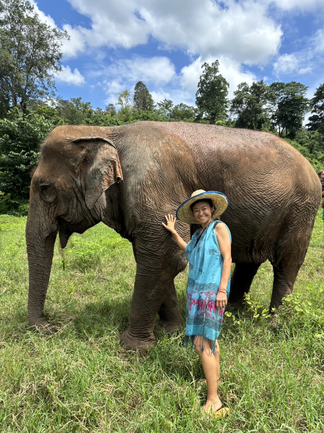 【タイ-チェンマイ】アジア象体験プログラム