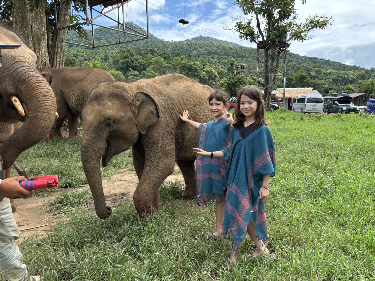 【タイ-チェンマイ】アジア象体験プログラム