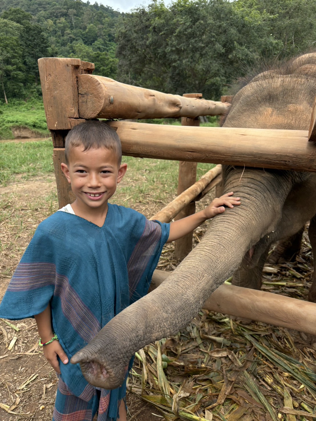 【タイ-チェンマイ】アジア象体験プログラム