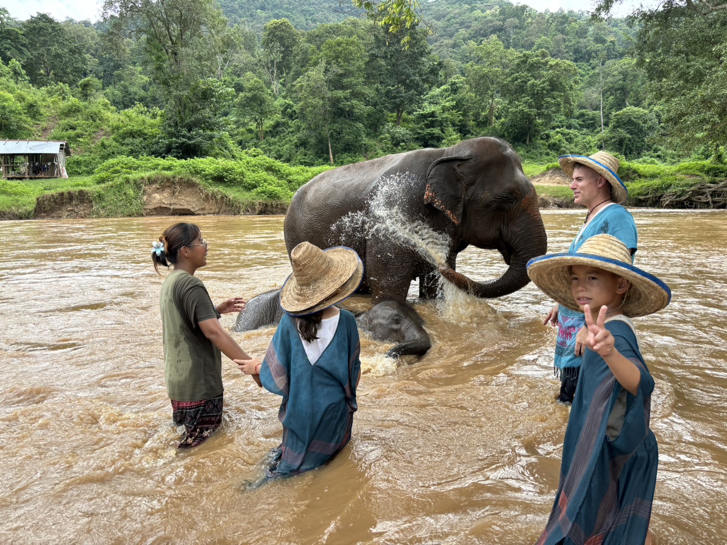 【タイ-チェンマイ】アジア象体験プログラム