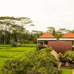 【インドネシア – ウブド】改修プログラム宿泊先画像