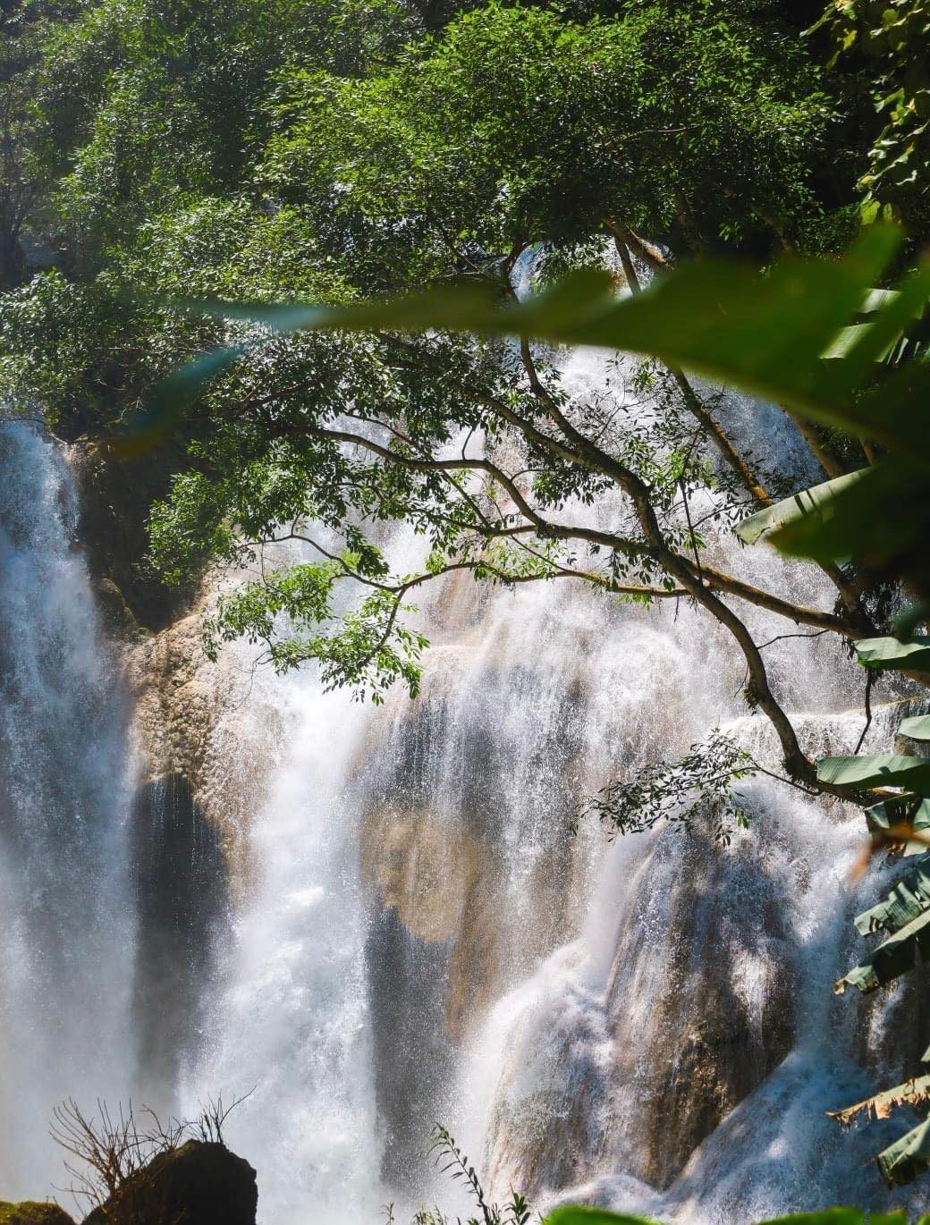 【ラオス】ラオスの冒険業務内容画像