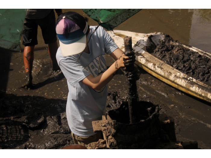 【カンボジア – カンポット】マングローブ保護