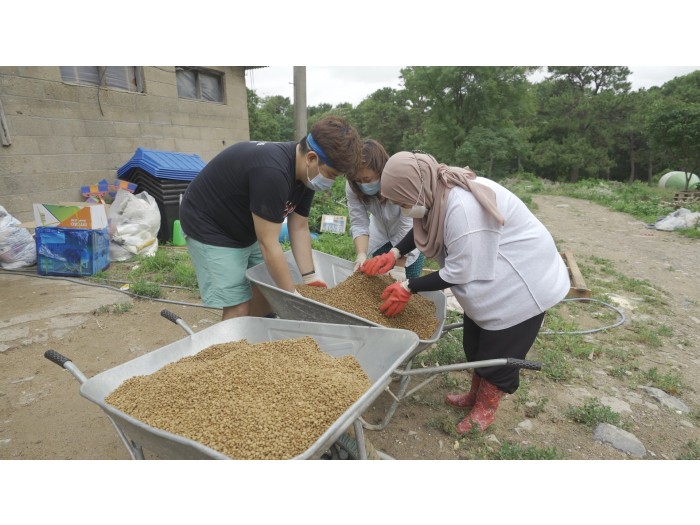 【韓国】動物保護プログラム