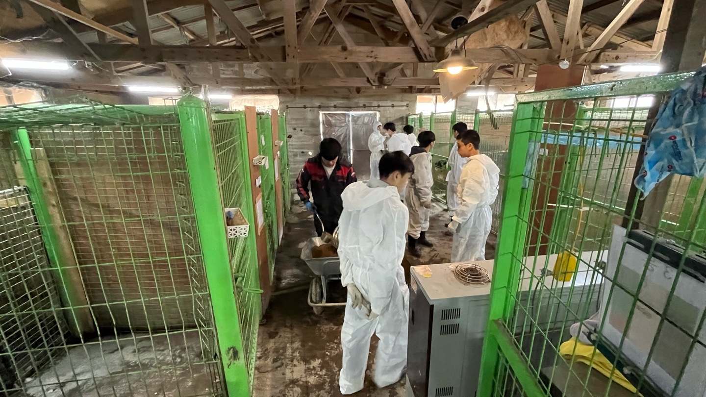 【韓国】動物保護プログラムスケジュール画像