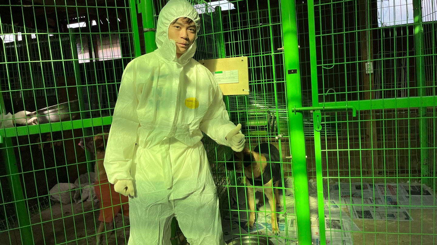 【韓国】動物保護プログラム業務内容画像