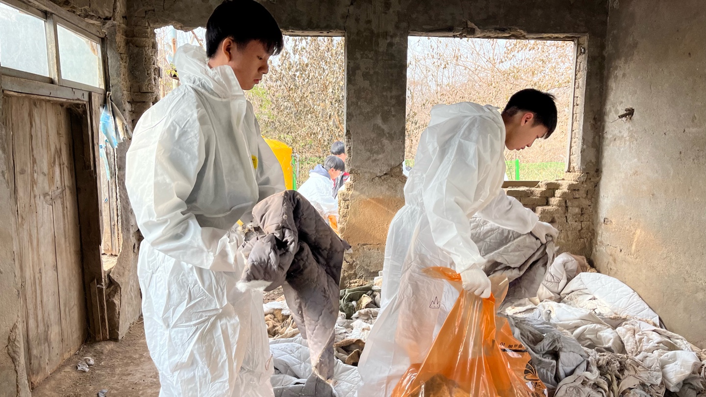 【韓国】動物保護プログラム業務内容画像