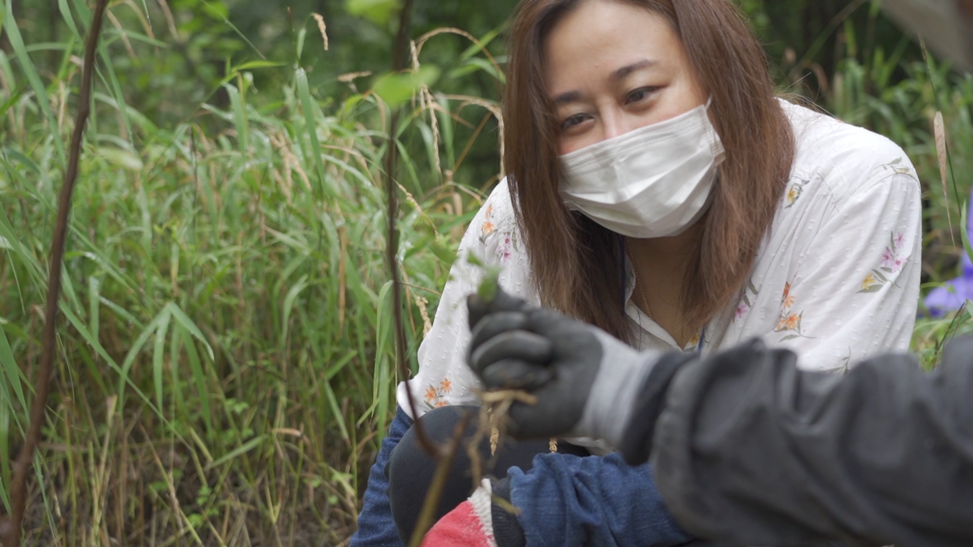 【韓国】環境保護プログラムスケジュール画像