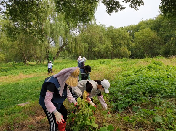 【韓国】環境保護プログラムスケジュール画像