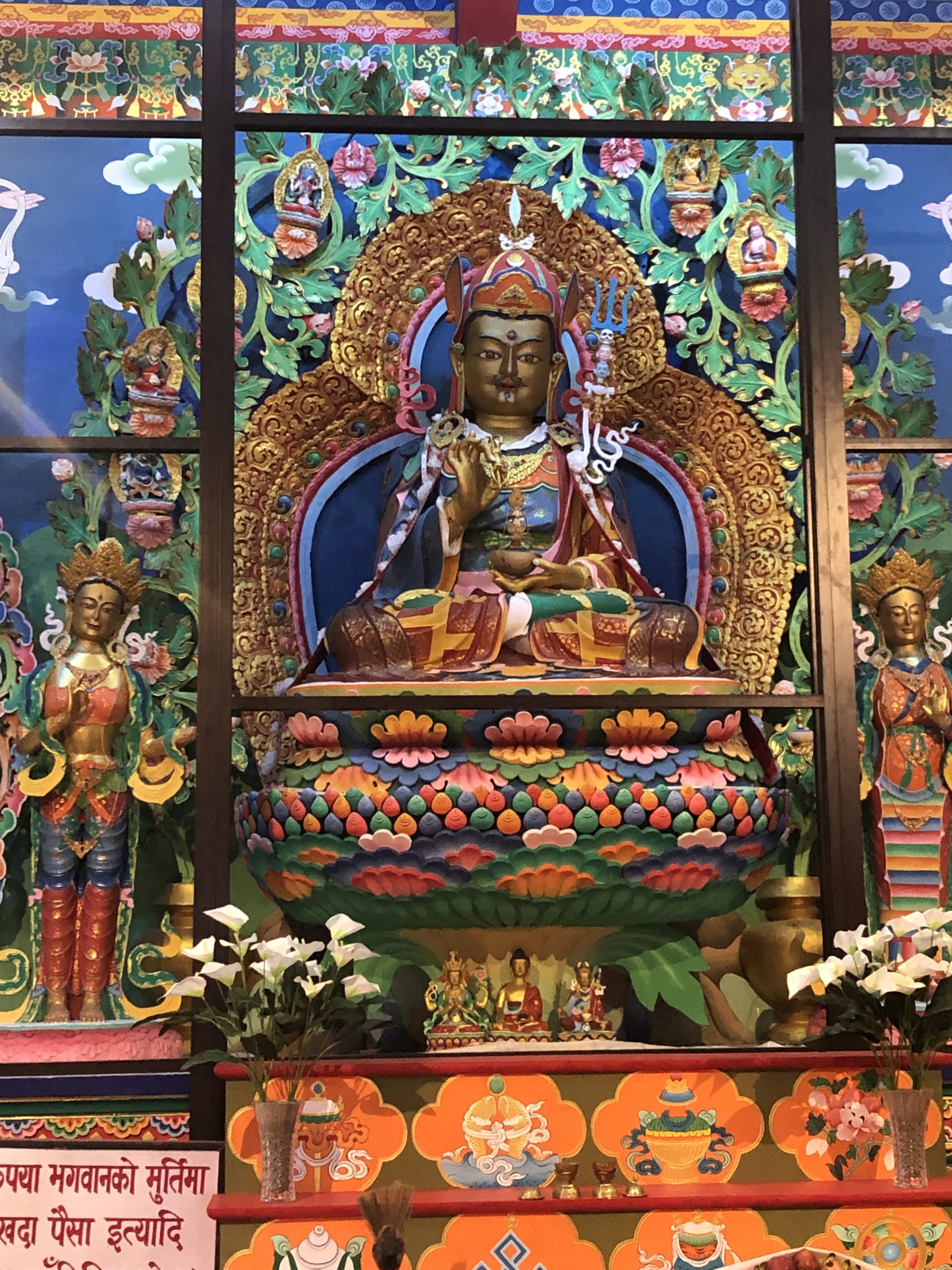 【インド】教育プログラム業務内容画像