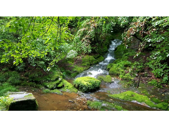 【韓国】環境保護プログラム